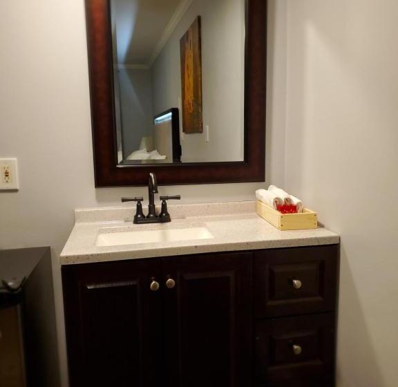 스탠다드 룸, Europa