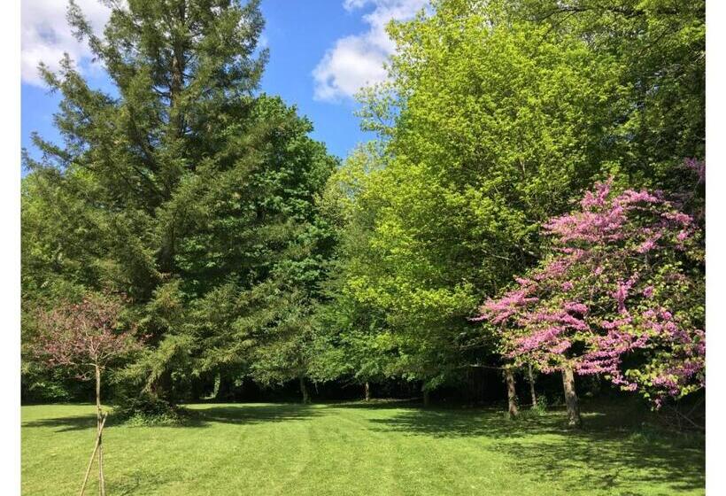 Номер Стандарт Вид на Сад, Château De Ré