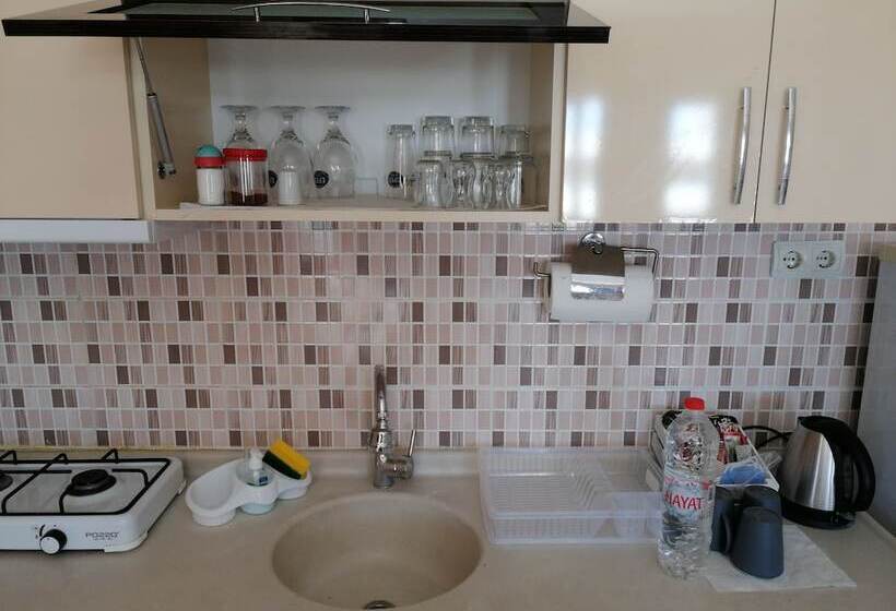 １ベッドルームアパートメント, Mina Apart Otel