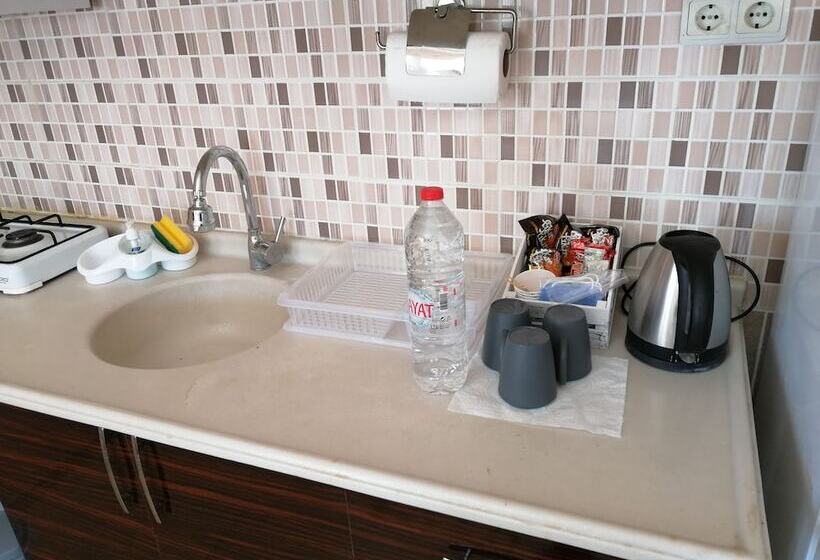 １ベッドルームアパートメント, Mina Apart Otel