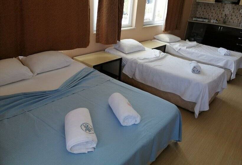 １ベッドルームアパートメント, Mina Apart Otel