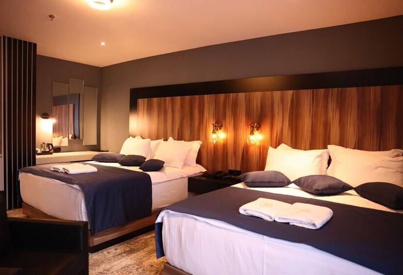 اتاق استاندارد, Palace Hotel & Spa