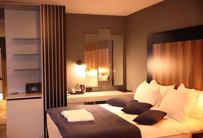 اتاق استاندارد, Palace Hotel & Spa