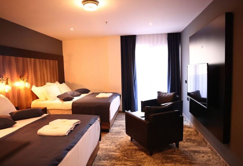 اتاق استاندارد, Palace Hotel & Spa