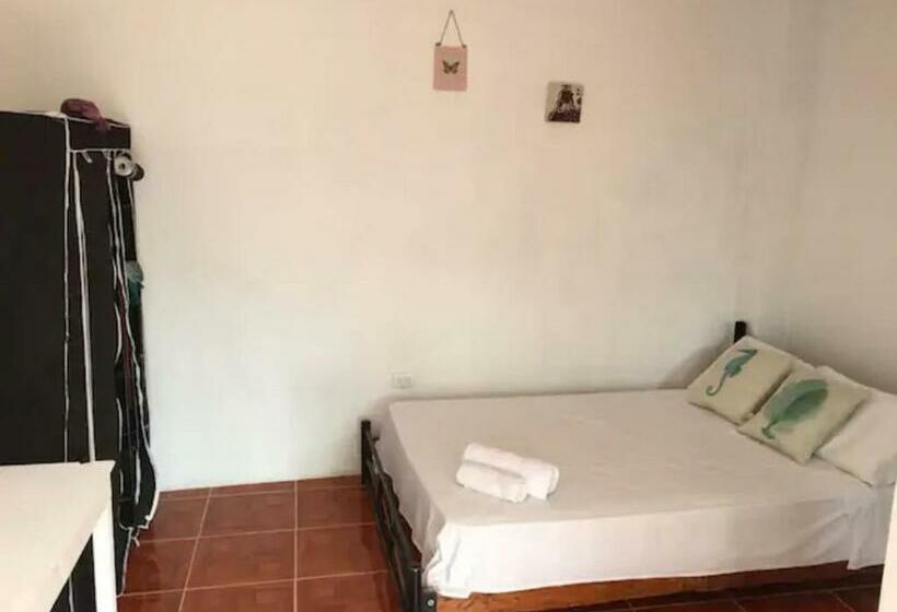 اتاق استاندارد, La Casa De Mike