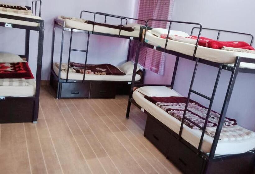 تختخواب در اتاق مشترک, Monkey Bunky 3monkeys Backpacker S Hostel