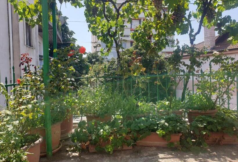 آپارتمان 1 خوابه با بالکن, Jordhani S House