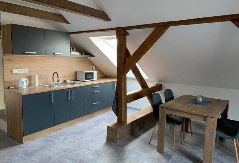 إستوديو قياسى, Kamrovec