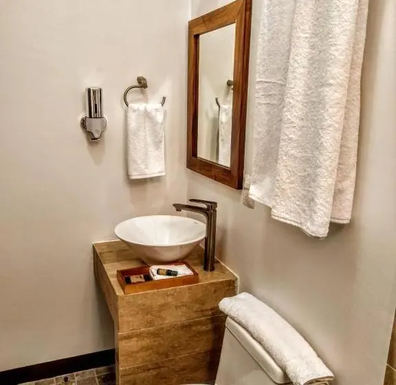 スタンダードルーム, Casa De Las Flores Hotel Boutique