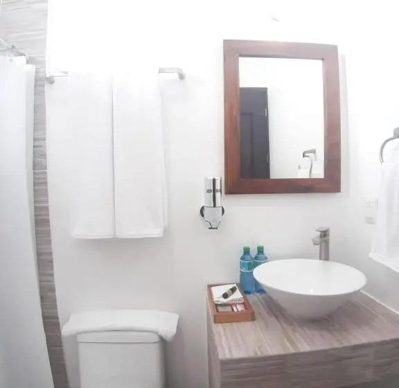 コンフォートトリプルルーム, Casa De Las Flores Hotel Boutique