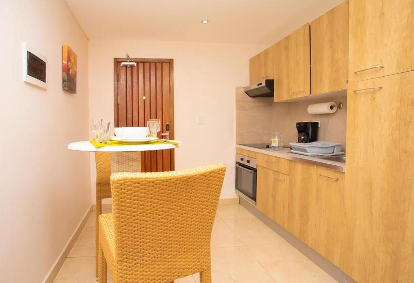 اتاق استاندارد با تخت بزرگ, Diamond Gem Residence