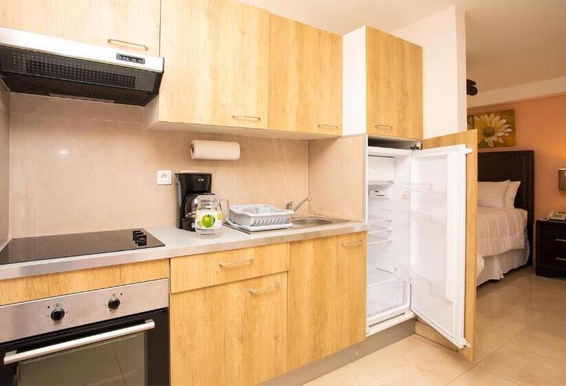 اتاق استاندارد با تخت بزرگ, Diamond Gem Residence