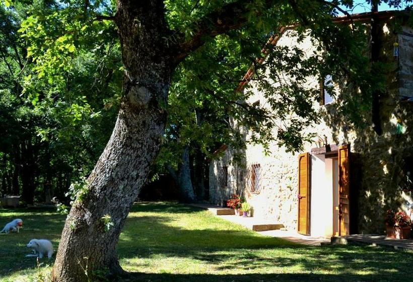 Deluxe Suite King Bed, Il Venaio