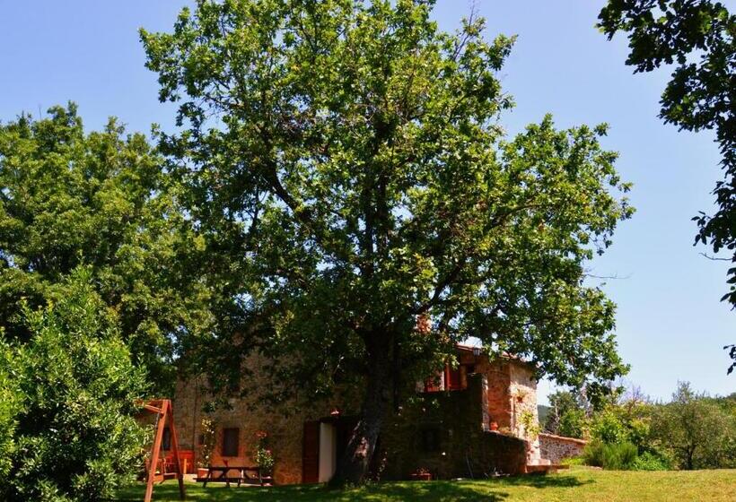 Deluxe Suite King Bed, Il Venaio