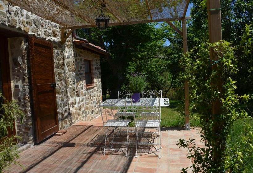 اتاق لوکس, Il Venaio