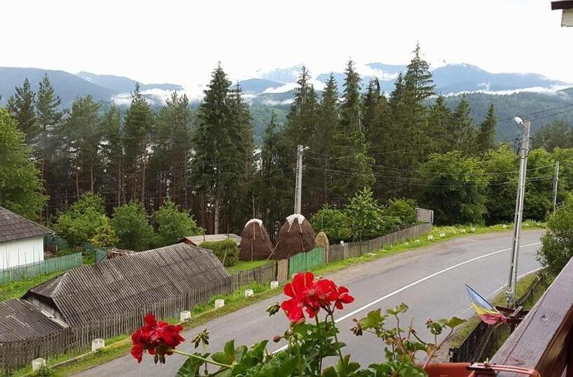 Номер Стандарт, Pensiunea Ioana