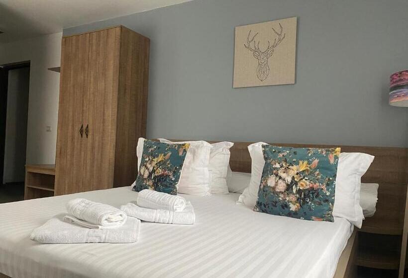 Номер Стандарт, Pensiunea Ioana