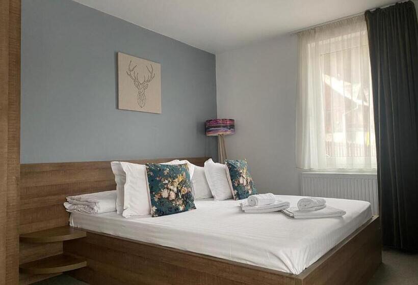 Номер Стандарт, Pensiunea Ioana