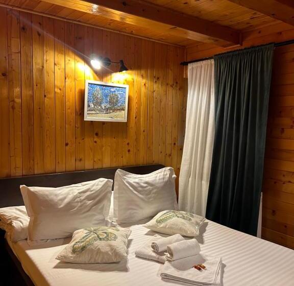 Апартаменты 2 Спальни, Pensiunea Ioana