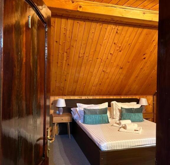 Апартаменты 2 Спальни, Pensiunea Ioana