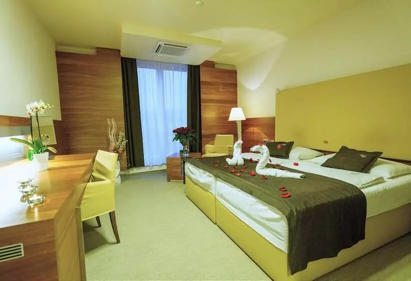 اتاق استاندارد, Aquacity Mountain View