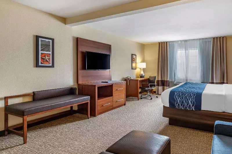 Standard-huone King-vuode, Comfort Inn & Suites Texas Hill Country