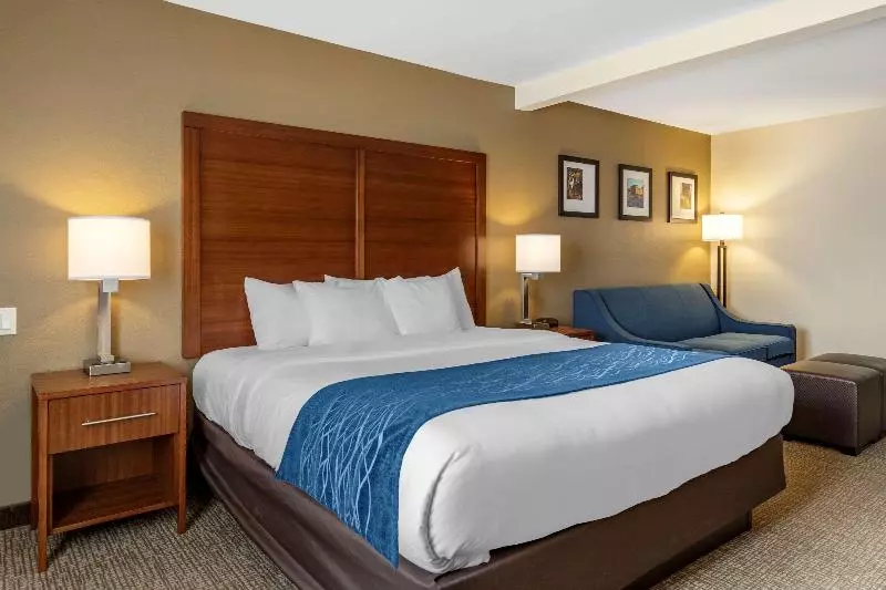 Standard-huone King-vuode, Comfort Inn & Suites Texas Hill Country