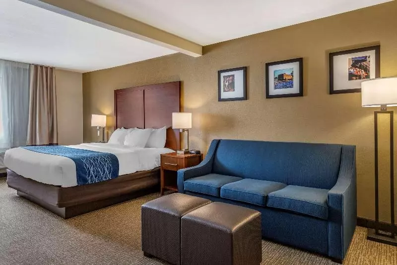 Standard-huone King-vuode, Comfort Inn & Suites Texas Hill Country