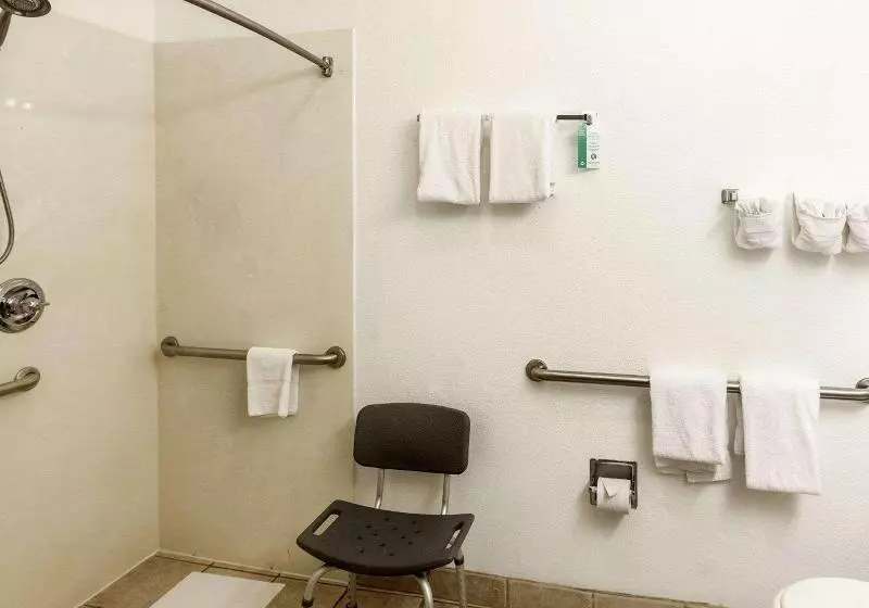 Standard-huone King-vuode, Comfort Inn & Suites Texas Hill Country