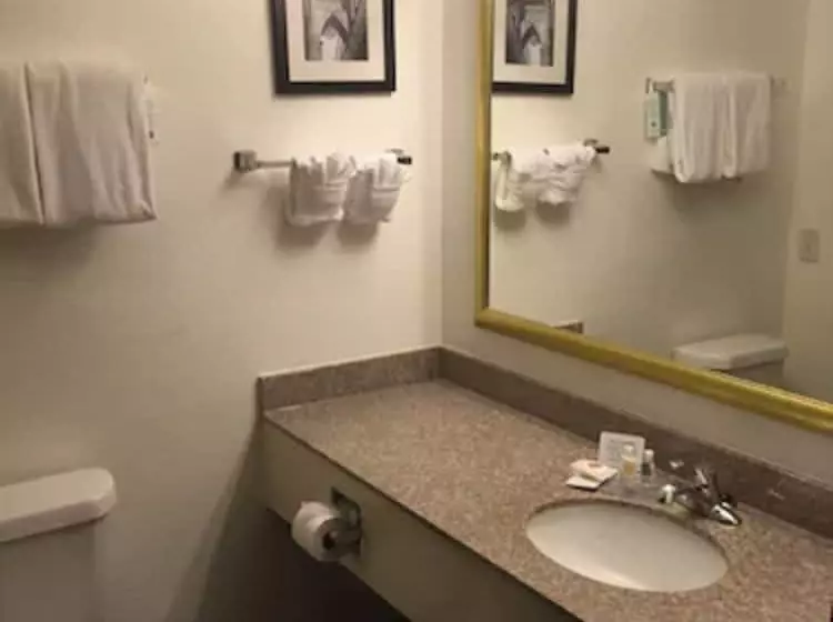Sviitti, Comfort Inn & Suites Texas Hill Country