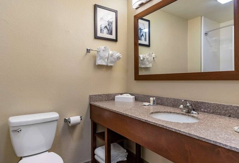 Люкс, Comfort Inn & Suites Texas Hill Country