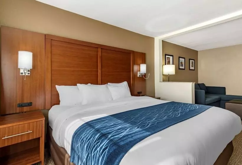 Sviitti, Comfort Inn & Suites Texas Hill Country