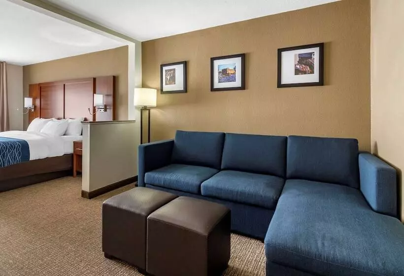 Sviitti, Comfort Inn & Suites Texas Hill Country