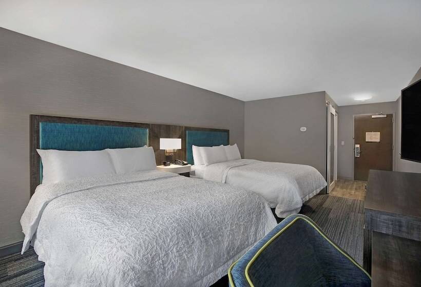 غرفه قياسيه سريرين مزدوجين, Hampton Inn Westfield