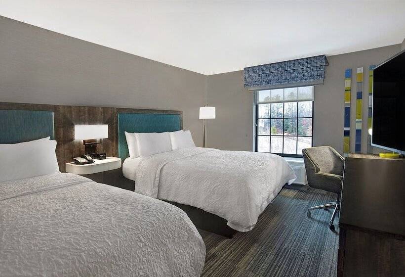 غرفه قياسيه سريرين مزدوجين, Hampton Inn Westfield