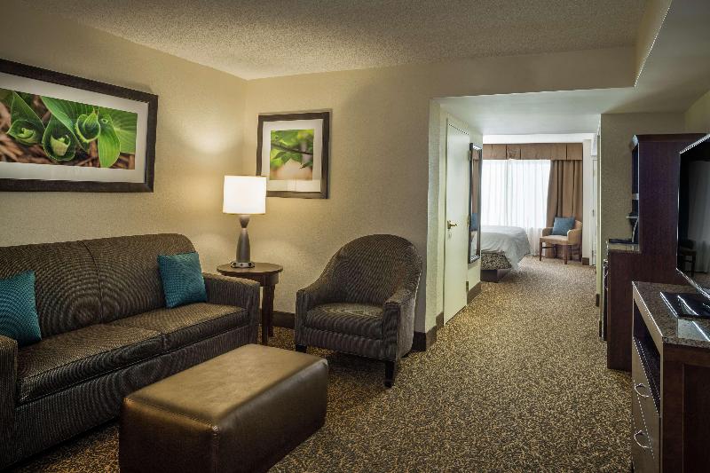 带大床的小型套房, Hilton Garden Inn Richmond Innsbrook