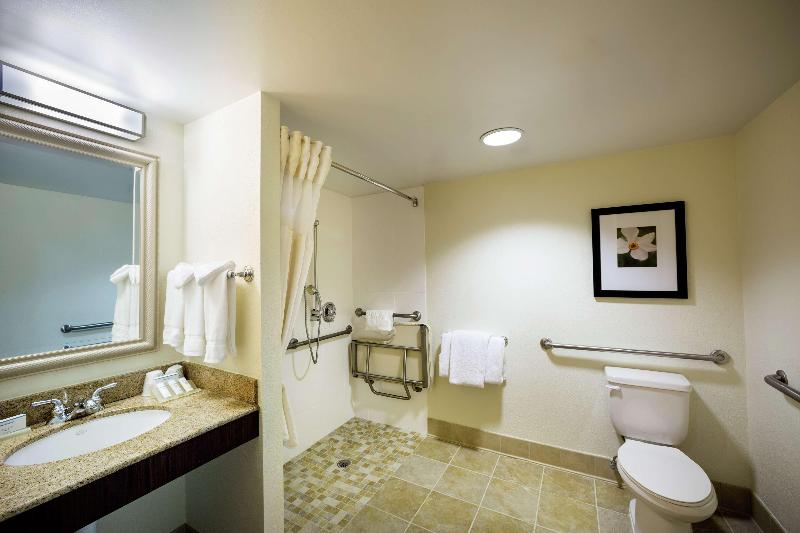 带大床的标准间, Hilton Garden Inn Richmond Innsbrook
