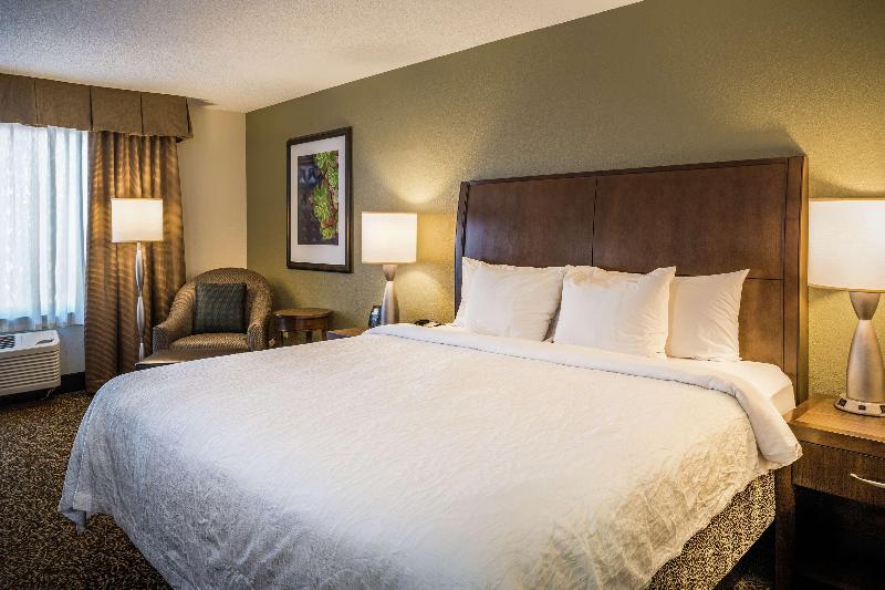 带大床的标准间, Hilton Garden Inn Richmond Innsbrook
