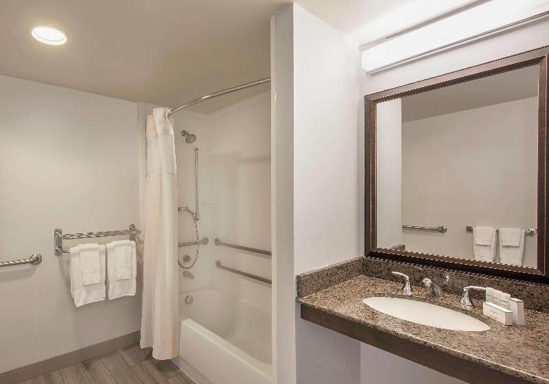 带大床的小型套房, Hilton Garden Inn Richmond Innsbrook