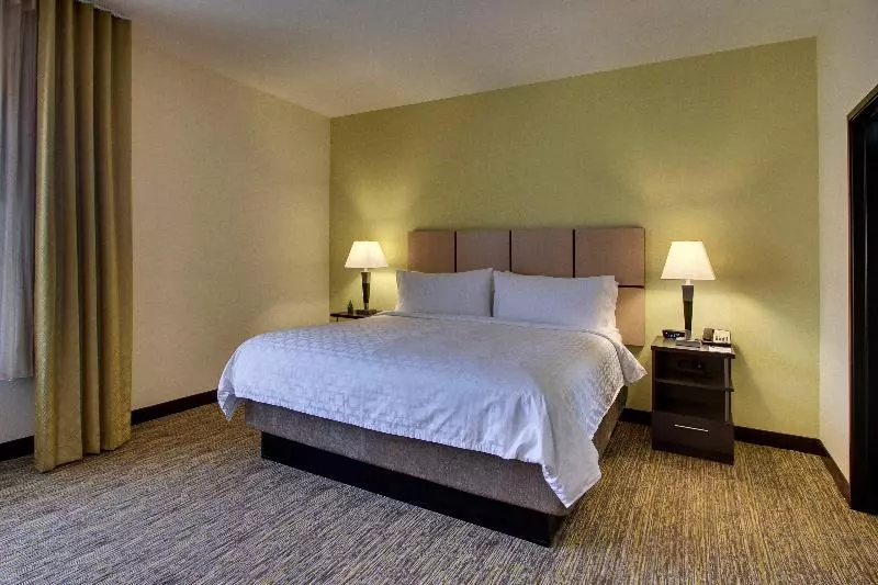 スタンダードルーム, Hilton Garden Inn Richmond Innsbrook