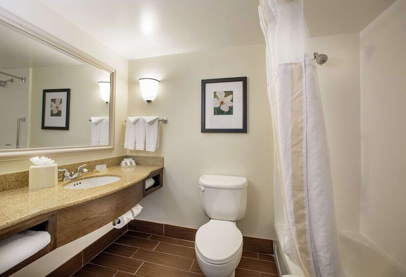 Номер Стандарт, Hilton Garden Inn Richmond Innsbrook