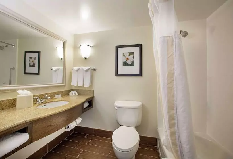 スタンダードルーム, Hilton Garden Inn Richmond Innsbrook