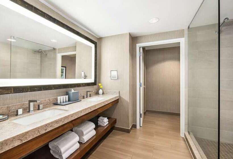 سوئیت با تخت بزرگ, Hilton Shreveport