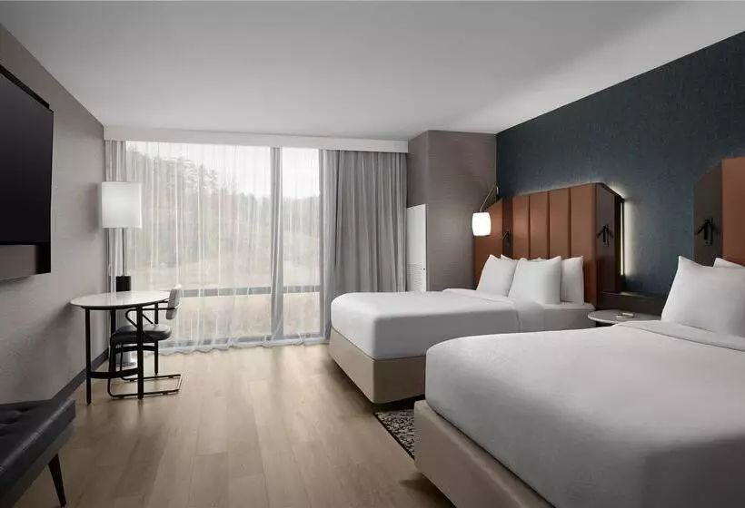 身障者適用スタンダードルーム, Hilton Shreveport