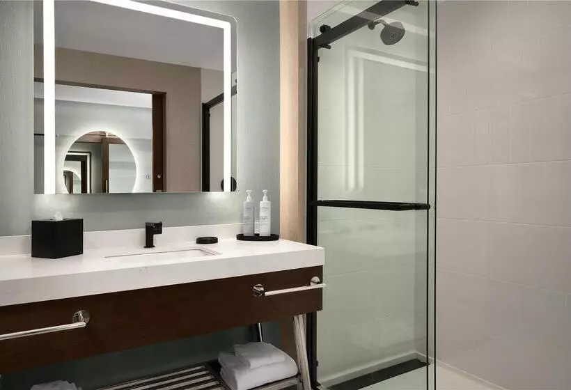 身障者適用スタンダードルーム, Hilton Shreveport