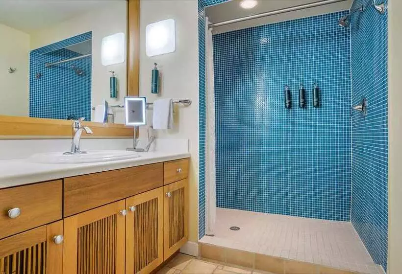 キングサイズベッドのスイートルーム, Hilton Shreveport