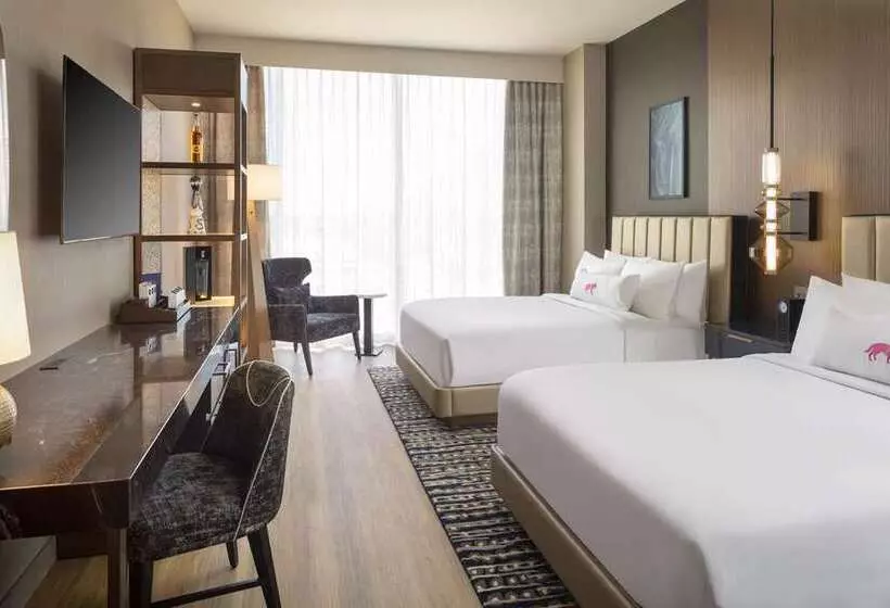 身障者適用スタンダードルーム, Hilton Shreveport