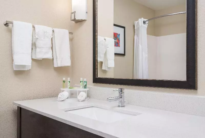 スタンダードルーム, Holiday Inn Express Hotel & Suites Ames, An Ihg