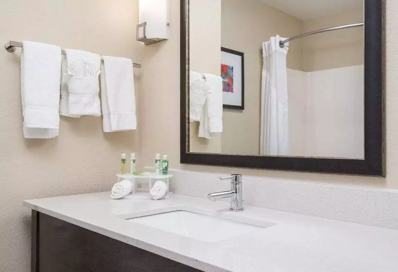 スイート, Holiday Inn Express Hotel & Suites Ames, An Ihg