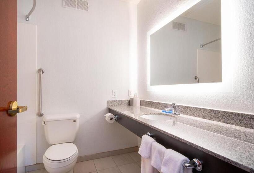 חדר אקזקיוטיב חדר קינג, Holiday Inn Express Hotel & Suites Bedford, An Ihg